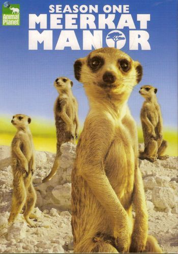 Meerkat Manor: Season One movie